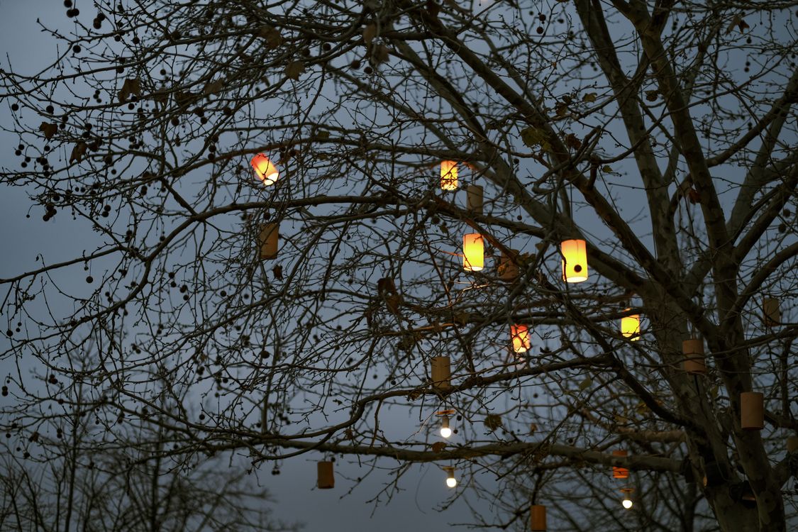 Leuchtende Laternen hängen in kahlen Ästen vor dem Abendhimmel